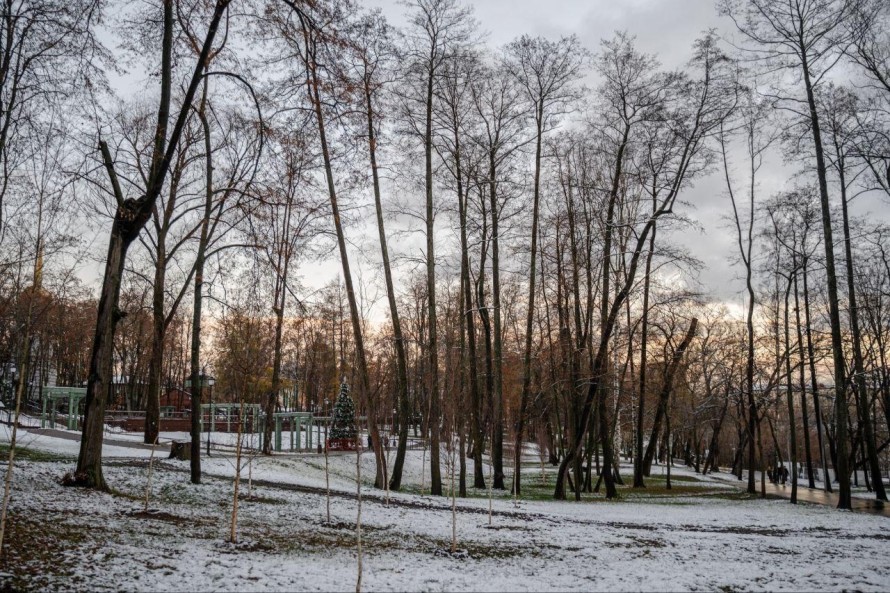 Мероприятия в парке