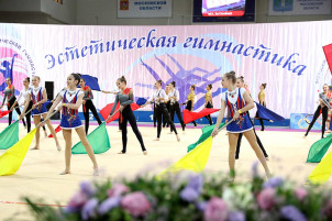 Чемпионат и Первенство Московской области по эстетической гимнастике
