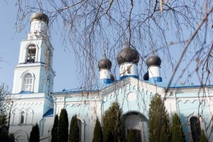 «Ромашковое поле»